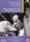 The Night Of The Iguana (1964)4.jpg